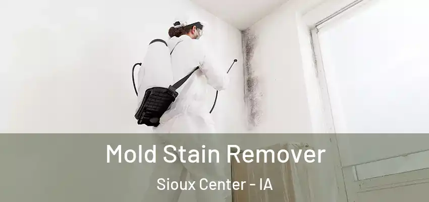  Mold Stain Remover Sioux Center - IA