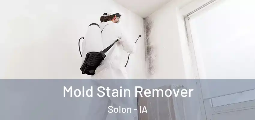  Mold Stain Remover Solon - IA