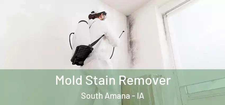  Mold Stain Remover South Amana - IA