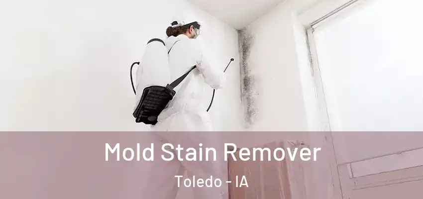  Mold Stain Remover Toledo - IA