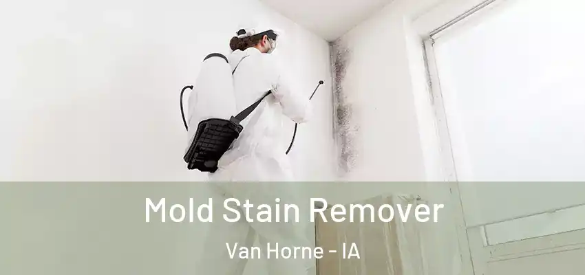  Mold Stain Remover Van Horne - IA