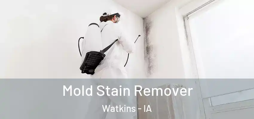  Mold Stain Remover Watkins - IA