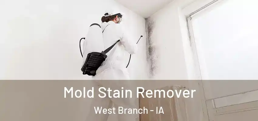  Mold Stain Remover West Branch - IA