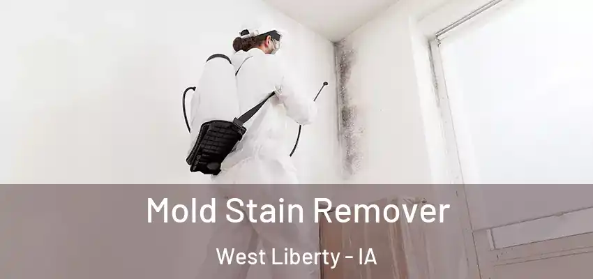  Mold Stain Remover West Liberty - IA