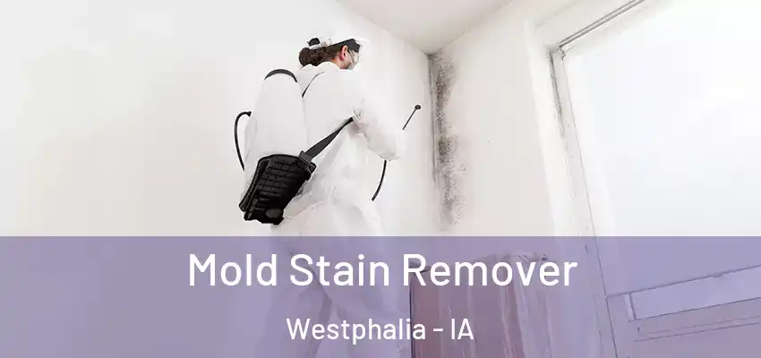 Mold Stain Remover Westphalia - IA