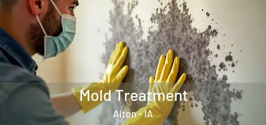 Mold Treatment Alton - IA