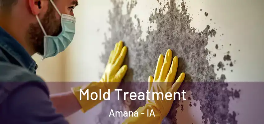  Mold Treatment Amana - IA