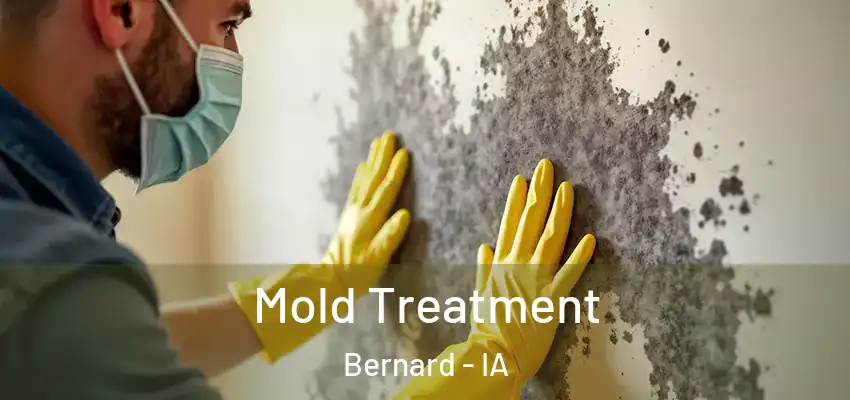  Mold Treatment Bernard - IA