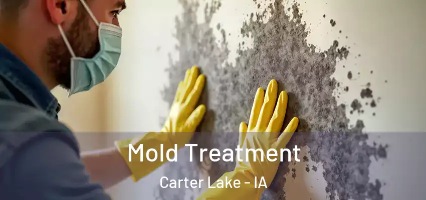 Mold Treatment Carter Lake - IA
