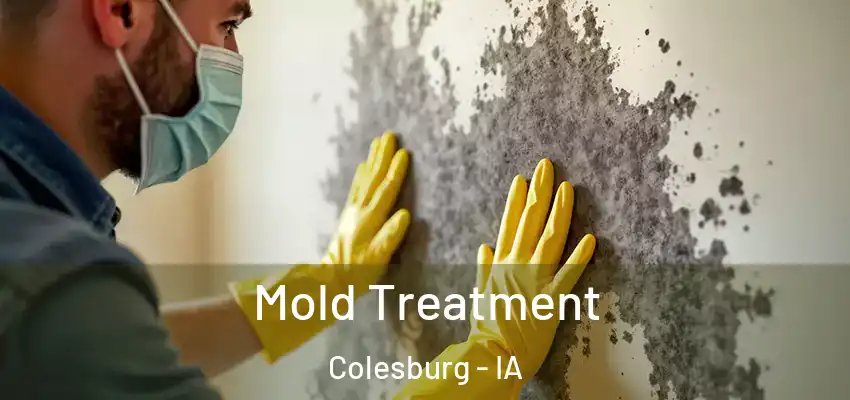 Mold Treatment Colesburg - IA