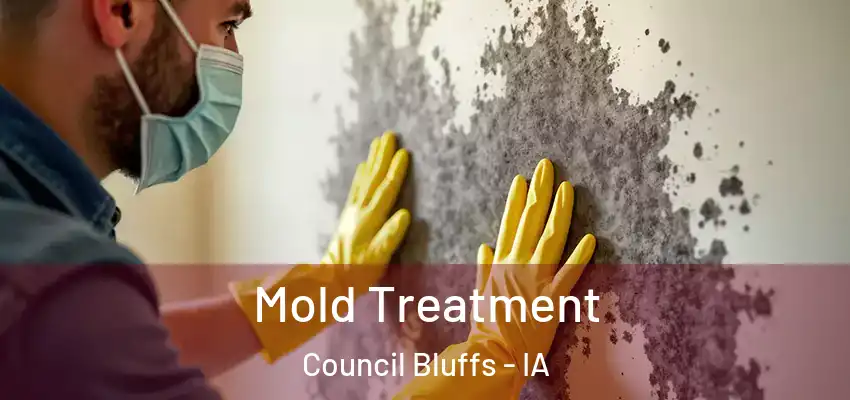 Mold Treatment Council Bluffs - IA