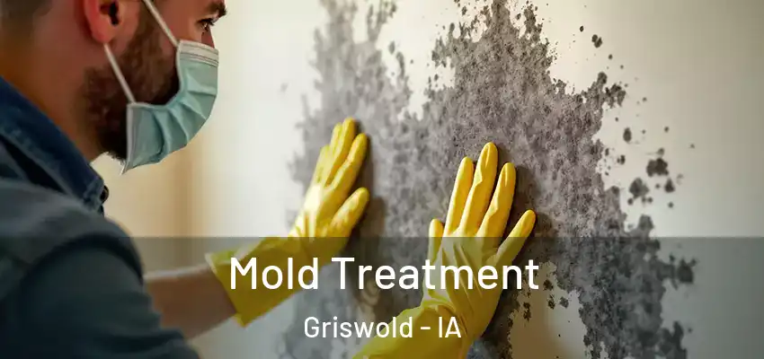 Mold Treatment Griswold - IA