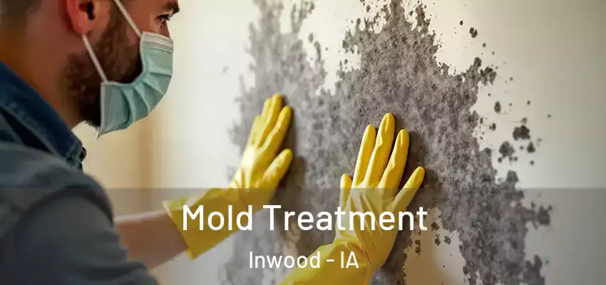  Mold Treatment Inwood - IA