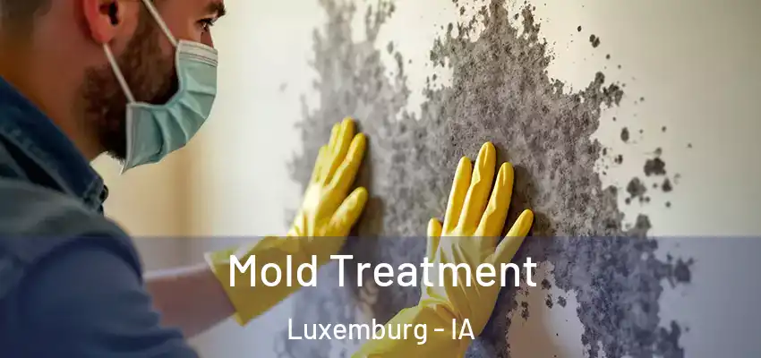 Mold Treatment Luxemburg - IA