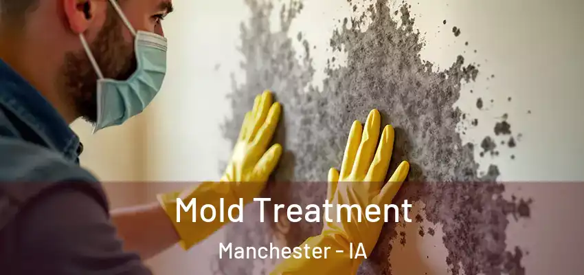Mold Treatment Manchester - IA