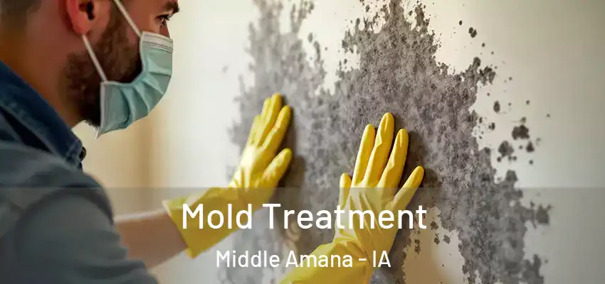  Mold Treatment Middle Amana - IA