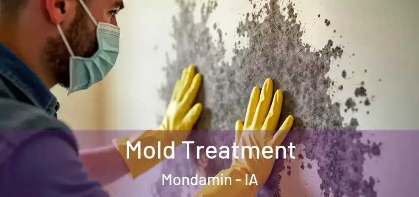  Mold Treatment Mondamin - IA