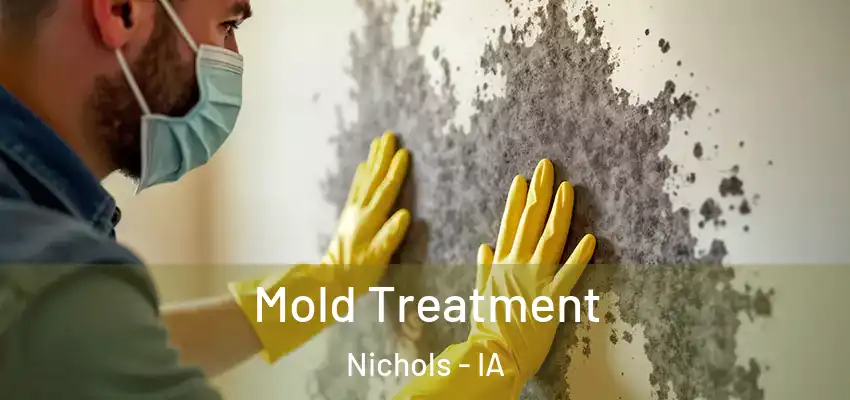  Mold Treatment Nichols - IA