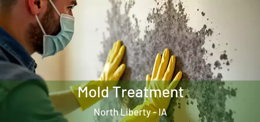 Mold Treatment North Liberty - IA
