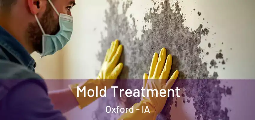  Mold Treatment Oxford - IA