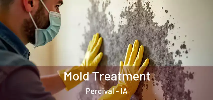  Mold Treatment Percival - IA