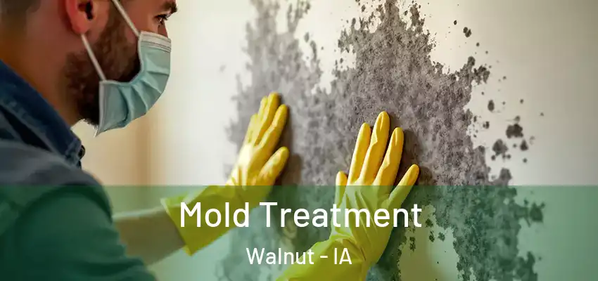 Mold Treatment Walnut - IA