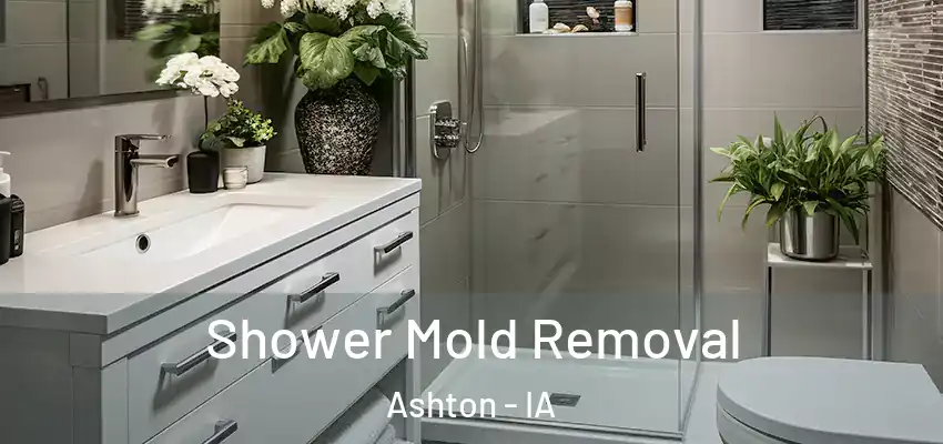 Shower Mold Removal Ashton - IA