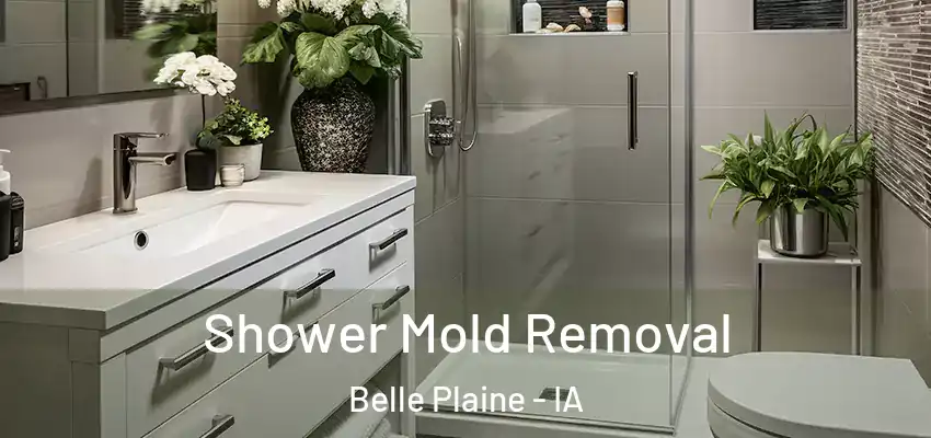 Shower Mold Removal Belle Plaine - IA