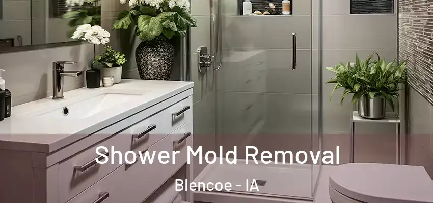  Shower Mold Removal Blencoe - IA