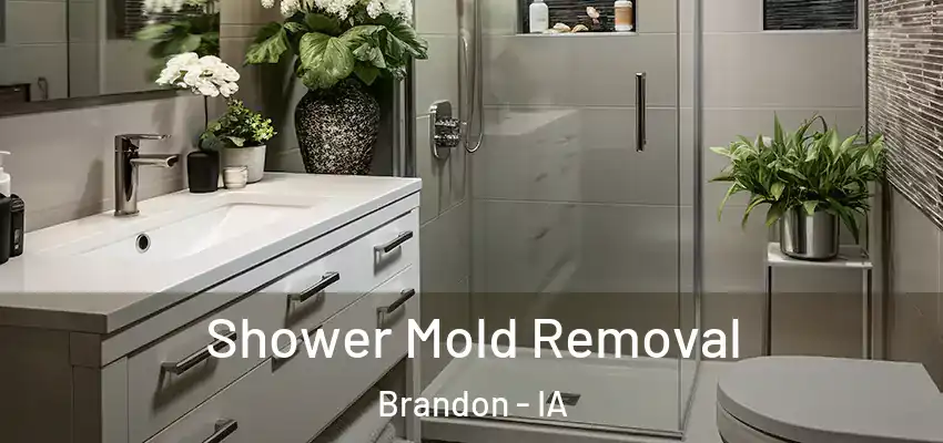 Shower Mold Removal Brandon - IA