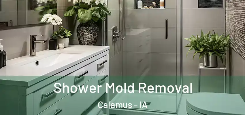 Shower Mold Removal Calamus - IA