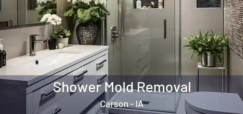 Shower Mold Removal Carson - IA