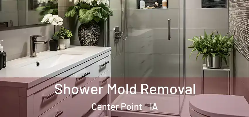 Shower Mold Removal Center Point - IA