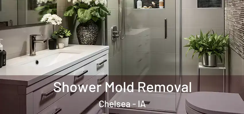Shower Mold Removal Chelsea - IA