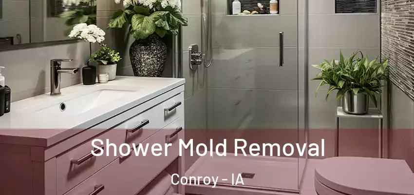 Shower Mold Removal Conroy - IA