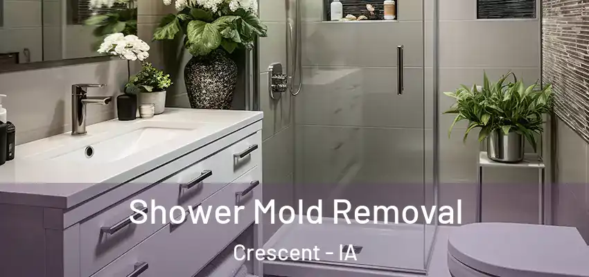  Shower Mold Removal Crescent - IA