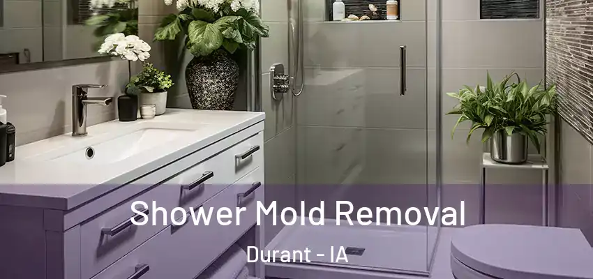  Shower Mold Removal Durant - IA