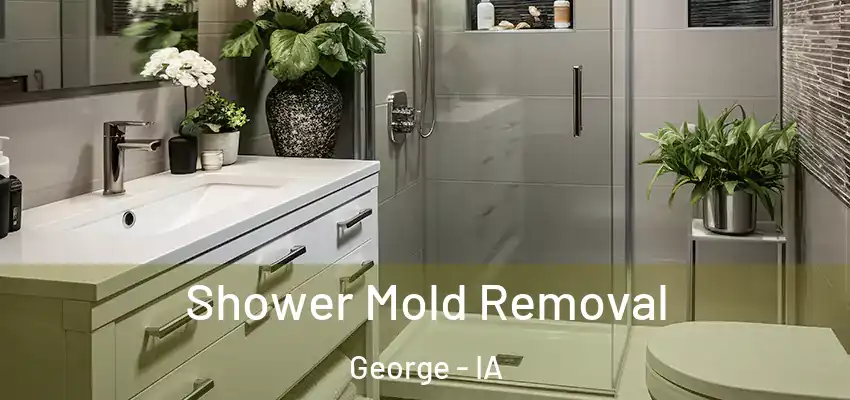  Shower Mold Removal George - IA