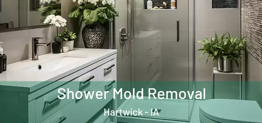 Shower Mold Removal Hartwick - IA