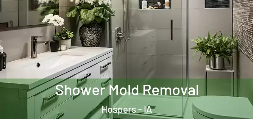 Shower Mold Removal Hospers - IA
