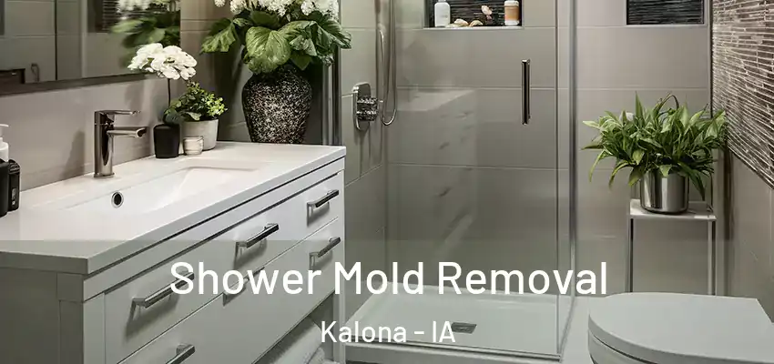  Shower Mold Removal Kalona - IA