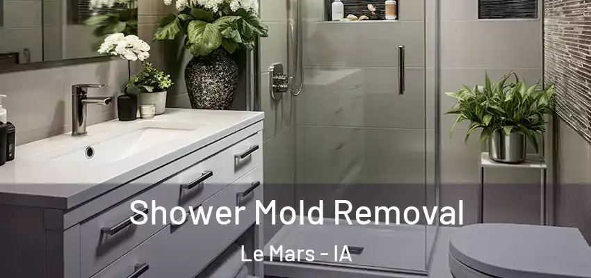 Shower Mold Removal Le Mars - IA