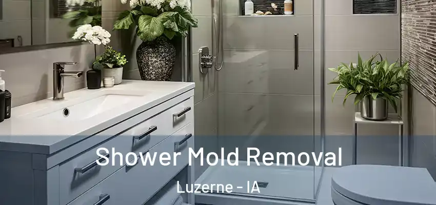  Shower Mold Removal Luzerne - IA