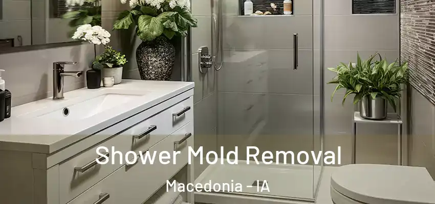  Shower Mold Removal Macedonia - IA