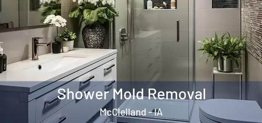  Shower Mold Removal McClelland - IA