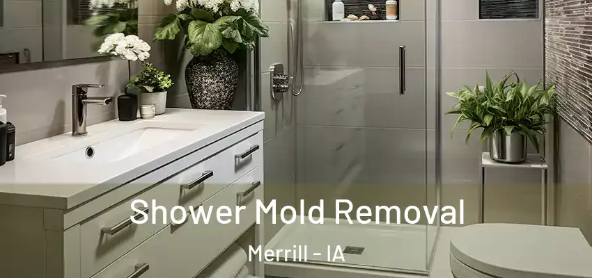  Shower Mold Removal Merrill - IA