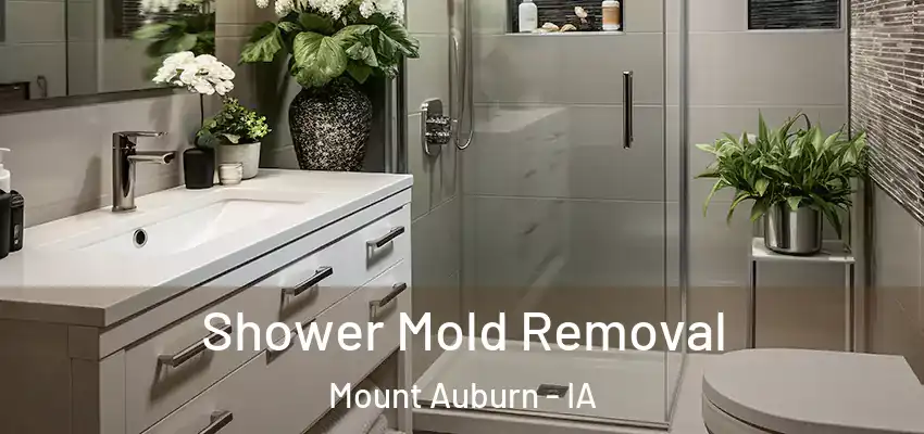  Shower Mold Removal Mount Auburn - IA