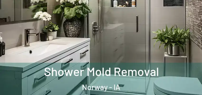Shower Mold Removal Norway - IA