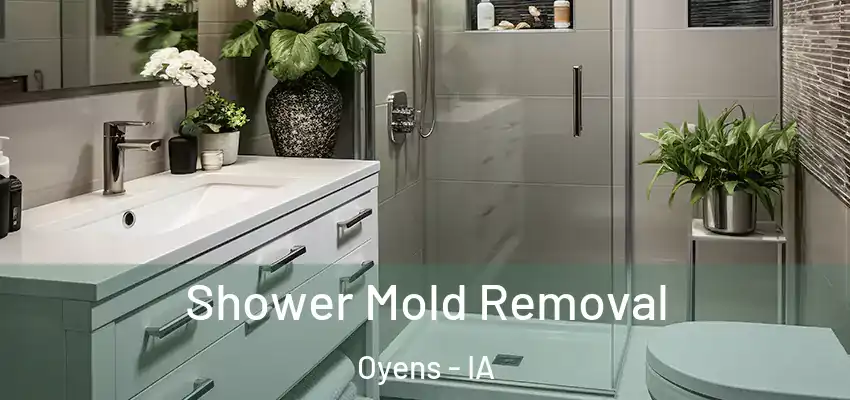  Shower Mold Removal Oyens - IA