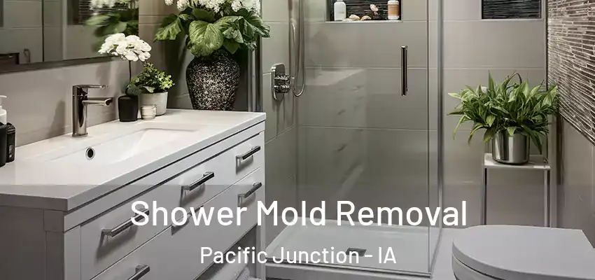 Shower Mold Removal Pacific Junction - IA